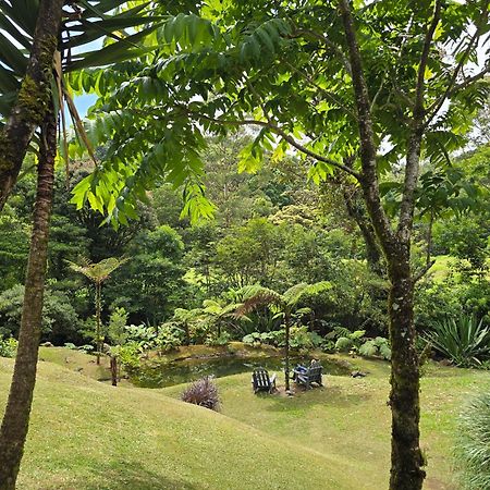 Monteverde Casa Mia, Near Main Attractions And Town! Esterno foto