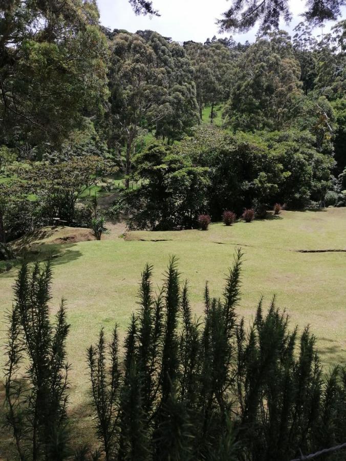 Monteverde Casa Mia, Near Main Attractions And Town! Esterno foto
