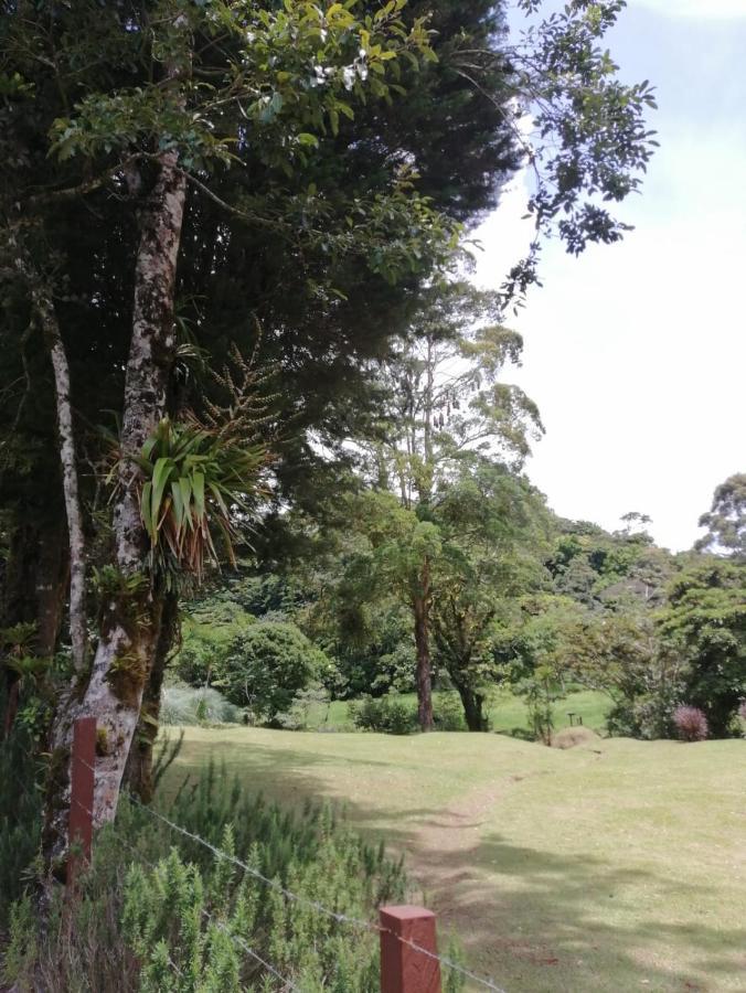 Monteverde Casa Mia, Near Main Attractions And Town! Esterno foto