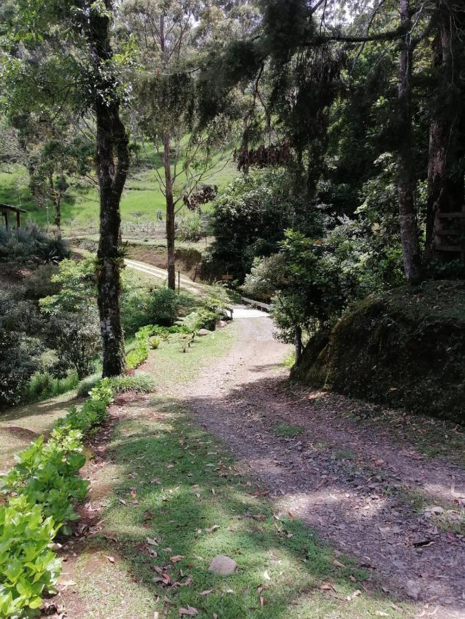 Monteverde Casa Mia, Near Main Attractions And Town! Esterno foto