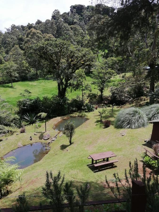 Monteverde Casa Mia, Near Main Attractions And Town! Esterno foto