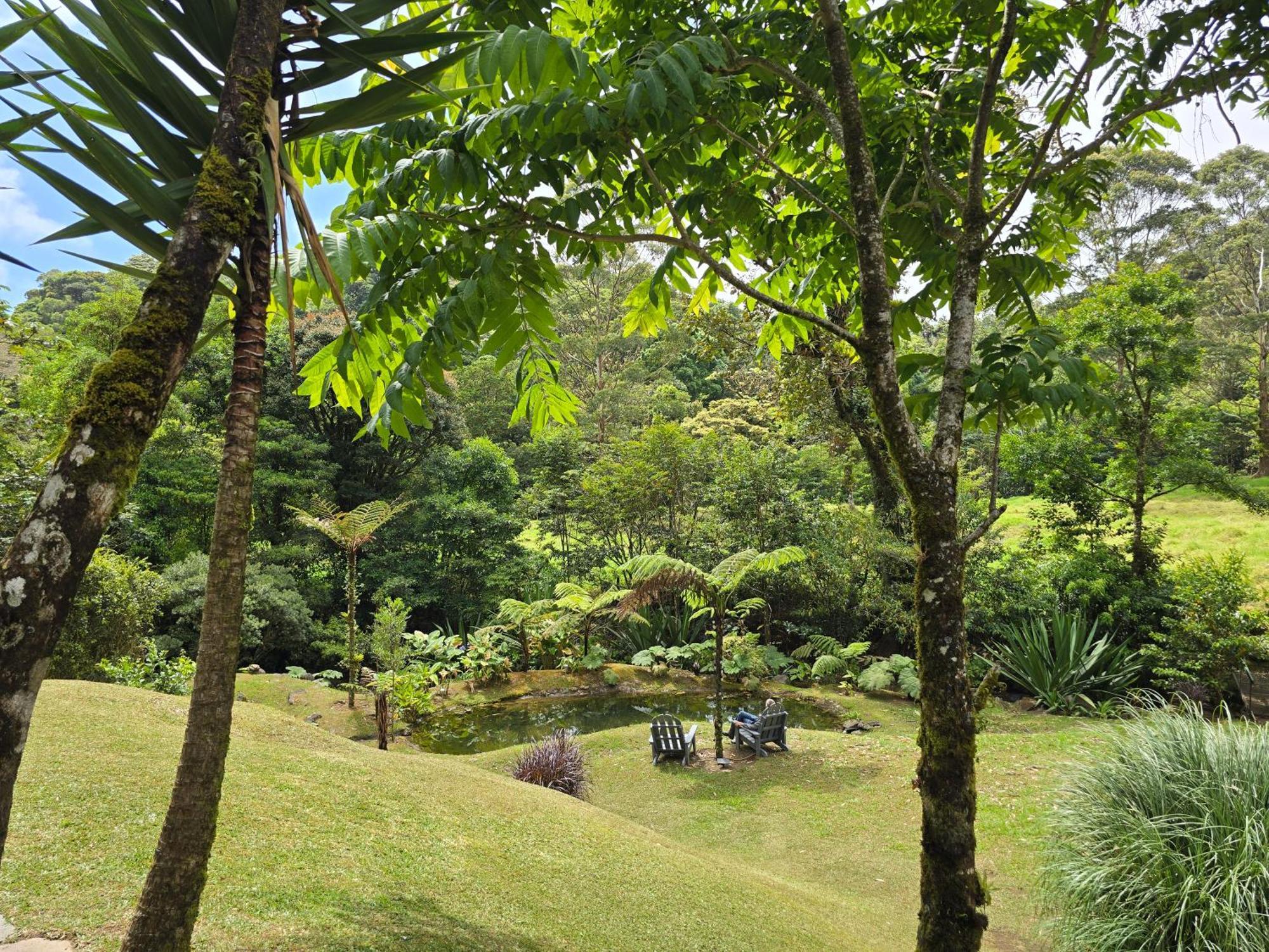 Monteverde Casa Mia, Near Main Attractions And Town! Esterno foto