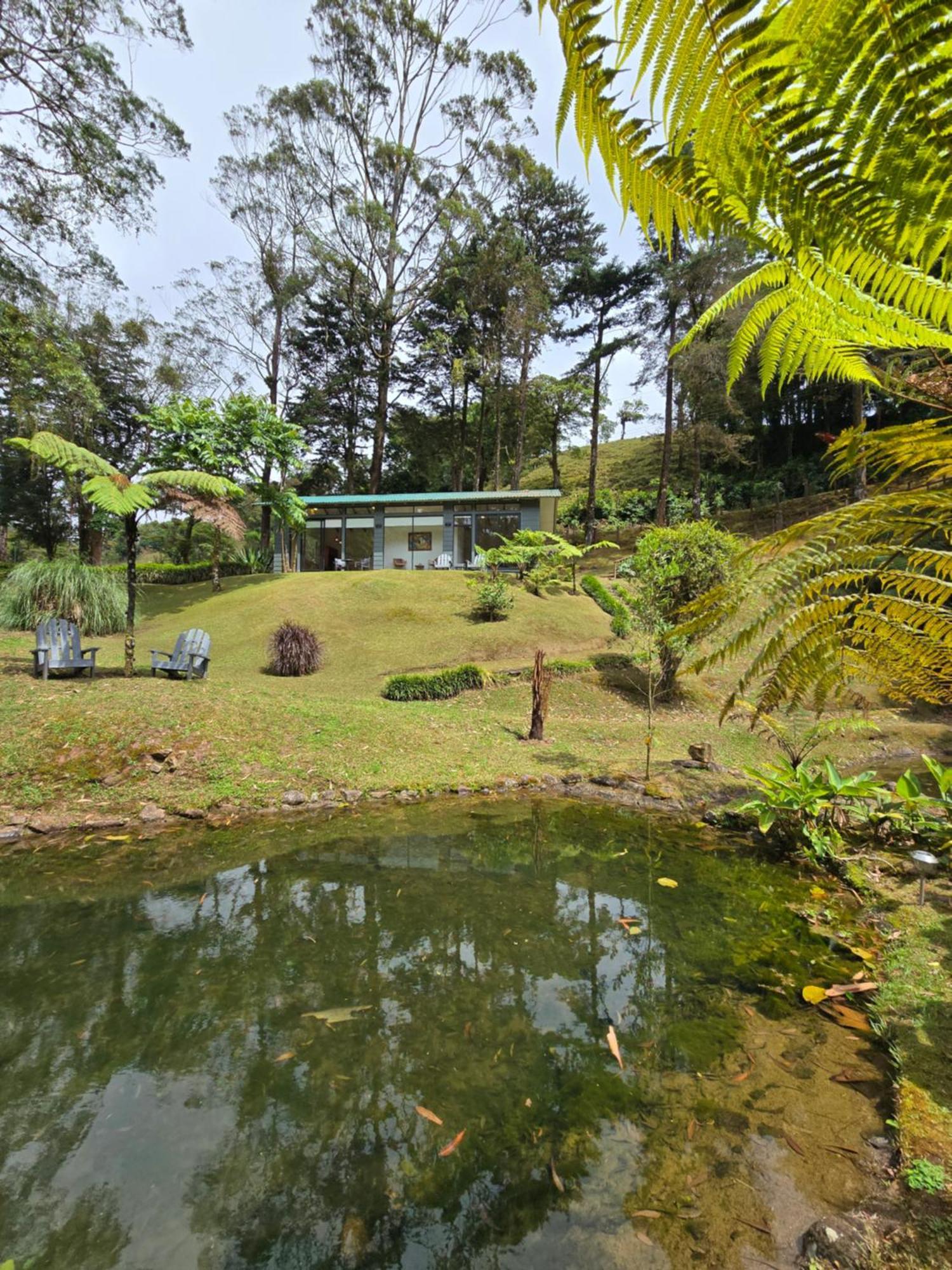 Monteverde Casa Mia, Near Main Attractions And Town! Esterno foto