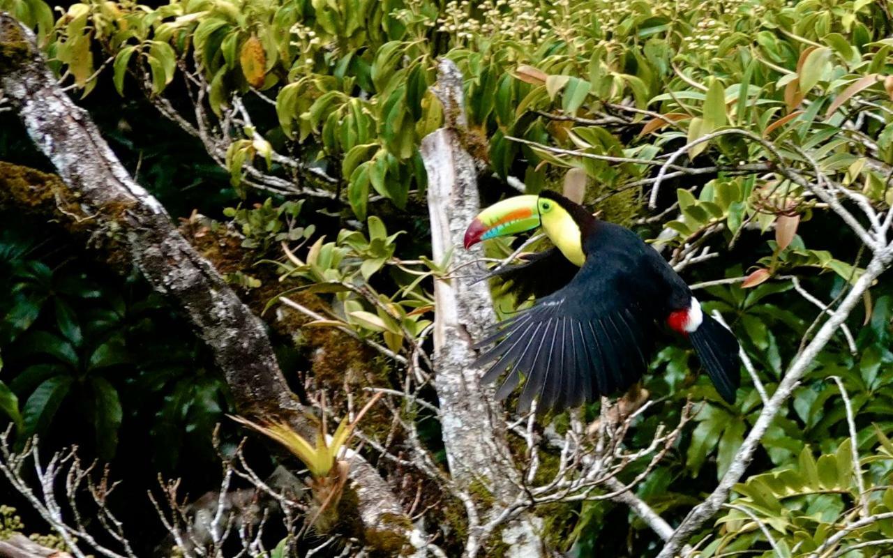Monteverde Casa Mia, Near Main Attractions And Town! Esterno foto