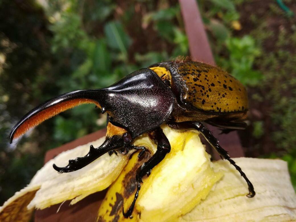 Monteverde Casa Mia, Near Main Attractions And Town! Esterno foto