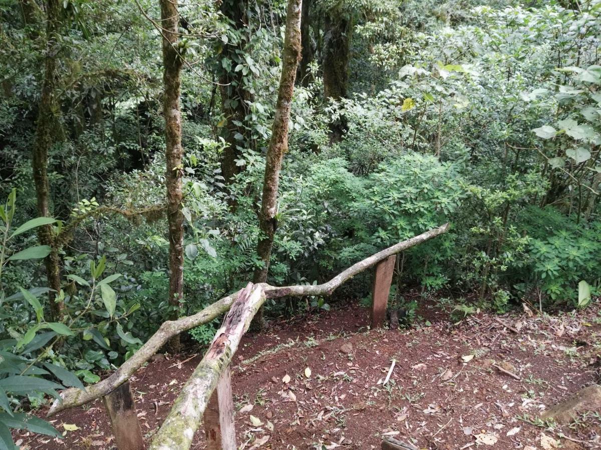 Monteverde Casa Mia, Near Main Attractions And Town! Esterno foto