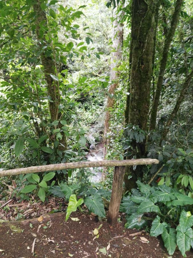 Monteverde Casa Mia, Near Main Attractions And Town! Esterno foto
