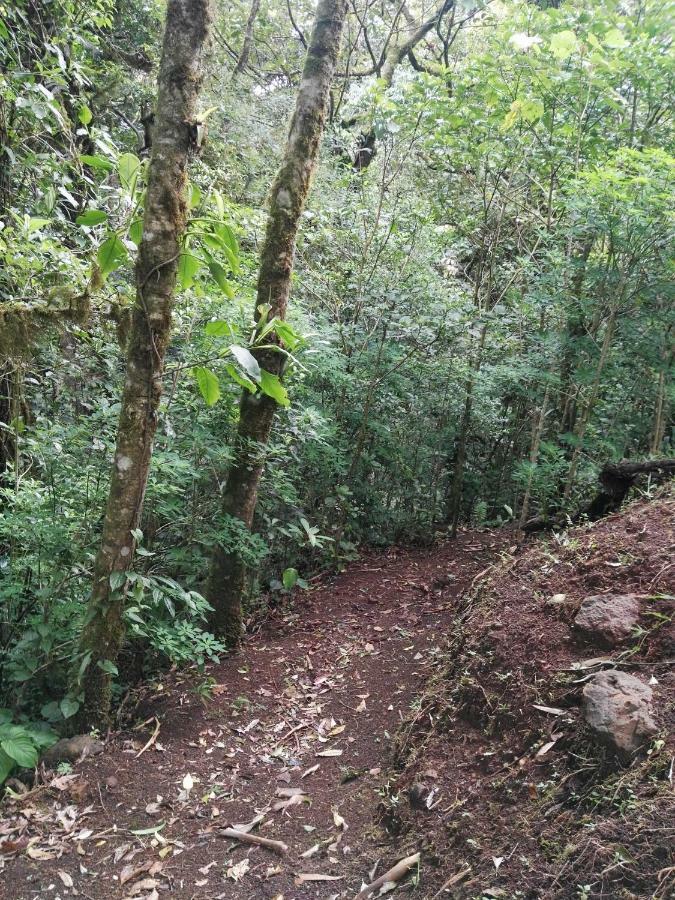 Monteverde Casa Mia, Near Main Attractions And Town! Esterno foto